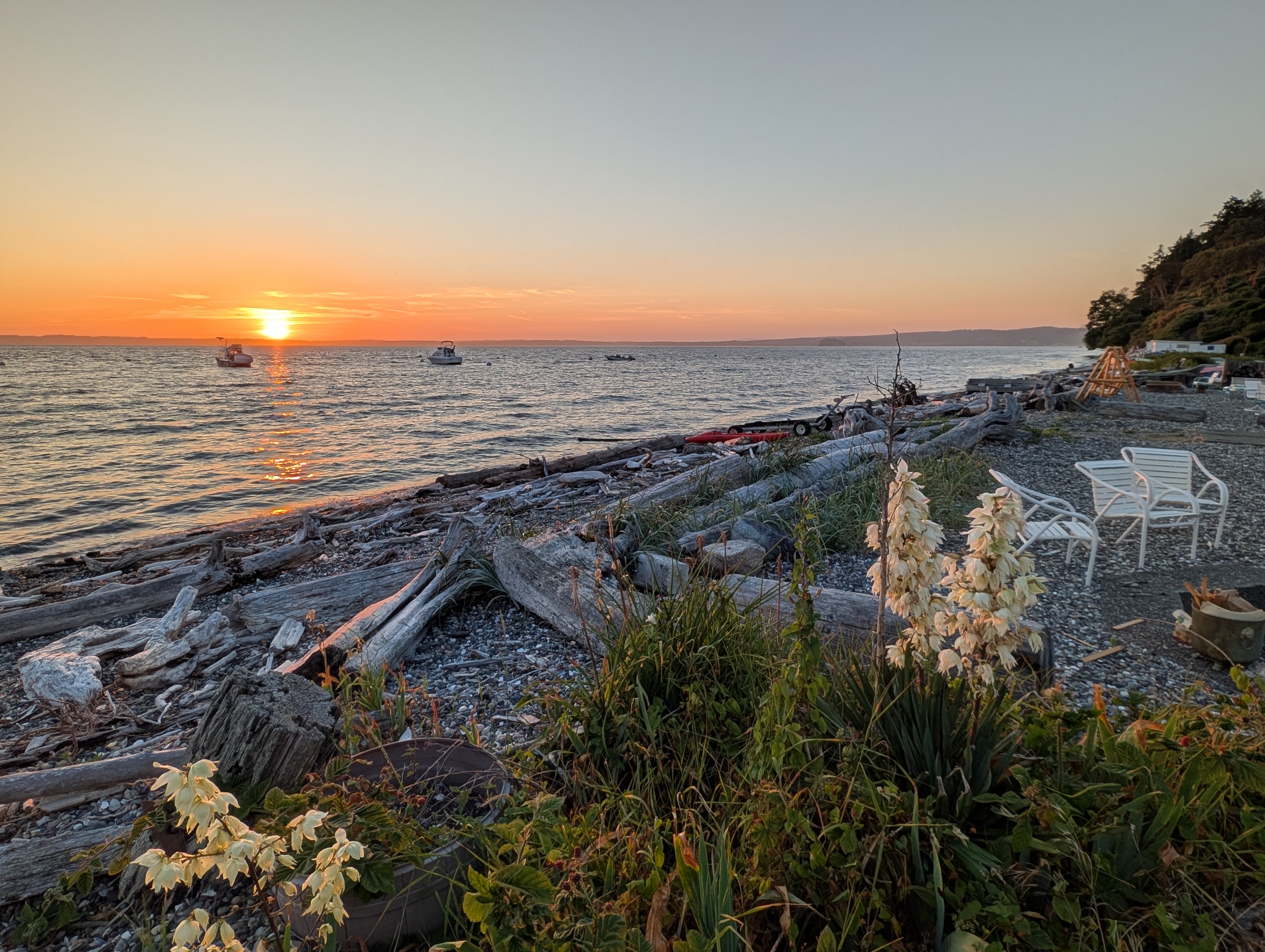 Sunset over a driftwood beach in Washington